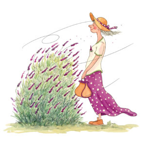 La lavanda
