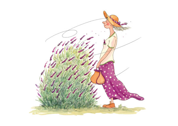 La lavanda